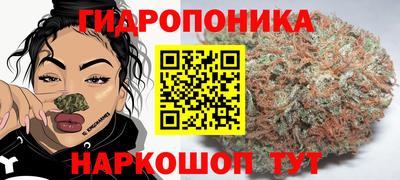 прущие крисы Будённовск