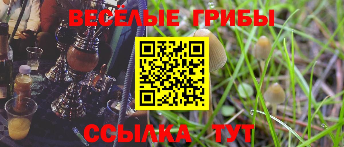 Галлюциногенные грибы GOLDEN TEACHER  Вход с VPN  Галлюциногенные грибы ЛСД  Тайшет 